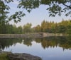 Nature Image