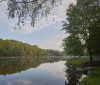 Nature Image