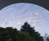 Nature Image