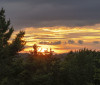 Nature Image