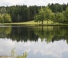Nature Image