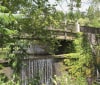 Nature Image