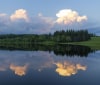 Nature Image