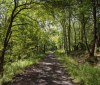 Nature Image