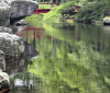 Nature Image
