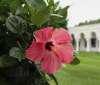 Nature Image