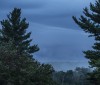 Nature Image