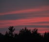 Nature Image