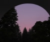 Nature Image