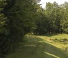 Nature Image