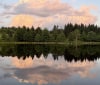 Nature Image