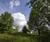 Nature Image