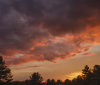 Nature Image