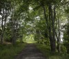 Nature Image