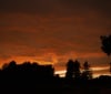 Nature Image