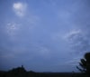 Nature Image