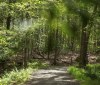 Nature Image