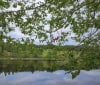 Nature Image