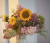 Nature Image
