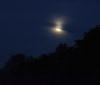 Nature Image