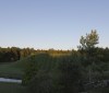 Nature Image