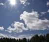 Nature Image