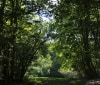 Nature Image