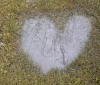 Nature Image
