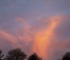 Nature Image