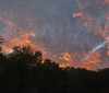 Nature Image