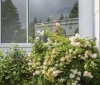 Nature Image