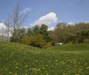Nature Image