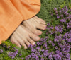 Nature Image