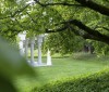 Nature Image