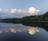 Nature Image
