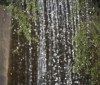 Nature Image