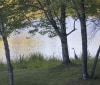 Nature Image