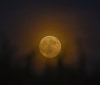 Nature Image
