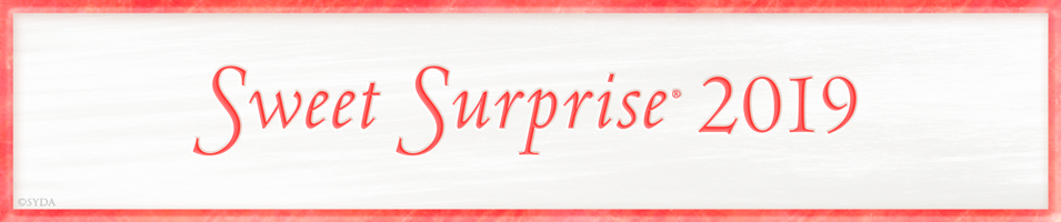 Sweet Surprise 2019