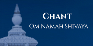Chant the Mantra