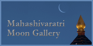 Moon Gallery