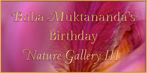 Nature Gallery3 2015