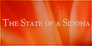 The State of a Siddha