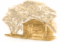 motif