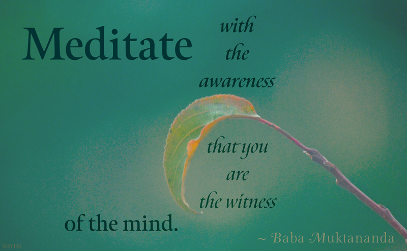 Teachings from Baba on Mantra