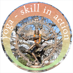 2016 April Yoga Skill Gallery