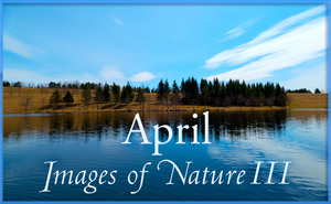 Images of Nature 