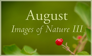 Images of Nature