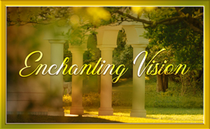 Enchanting Vision