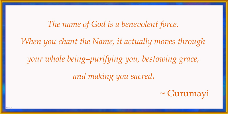 Gurumayi Chidvilasananda, Enthusiasm, Chapter 13, pg. 175